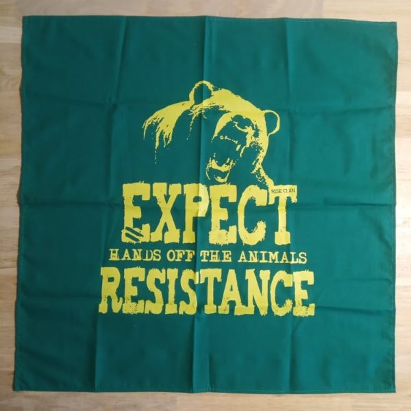Expect Resistance Flag